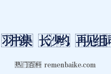 羽书集·长沙哟，再见组词是什么意思的图片